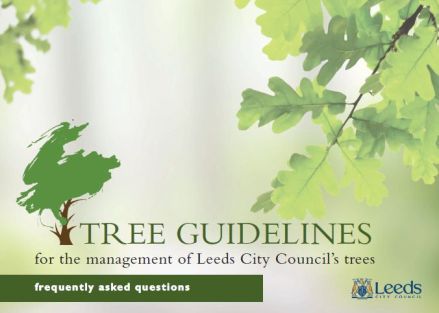 LCC Tree Guidelines